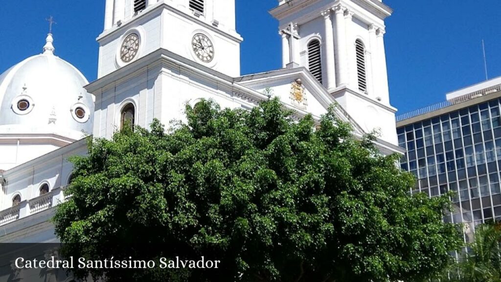 Catedral Santíssimo Salvador - Campos dos Goytacazes (Rio de Janeiro)