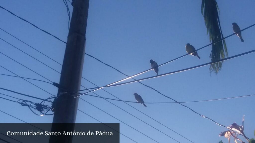 Comunidade Santo Antônio de Pádua - Peruíbe (São Paulo)