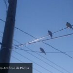 Comunidade Santo Antônio de Pádua