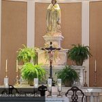 Paróquia Nossa Senhora Rosa Mística