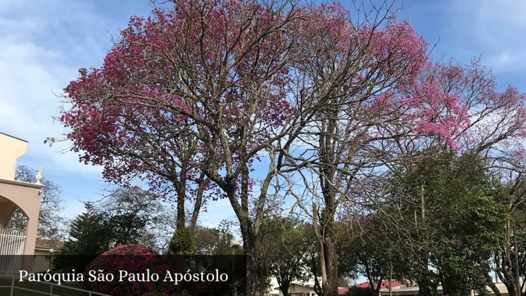 Paróquia São Paulo Apóstolo - Cascavel (Paraná)